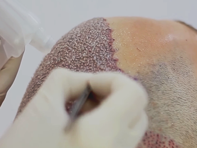 Best place of true splander